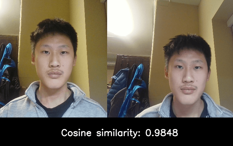 Facial recognition overview